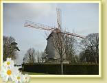 Cassel_Reco (27)